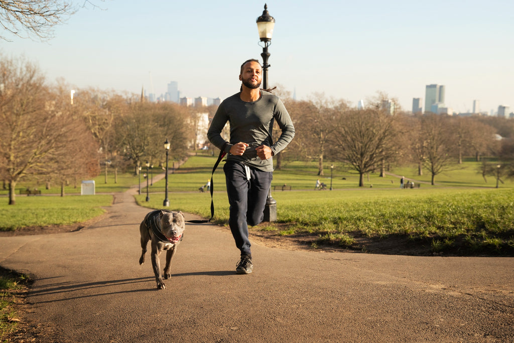 Running with Your Pet: Tips for Selecting the Right Gear