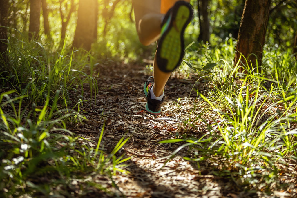 Top Running Trails in South Wales